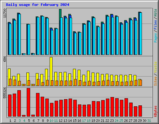Daily usage for February 2024