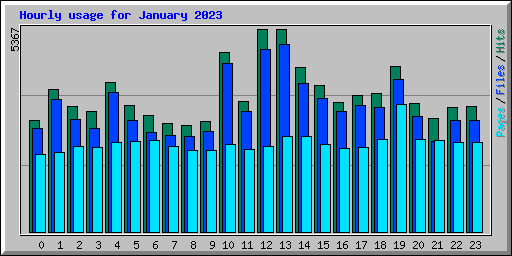 Hourly usage for January 2023
