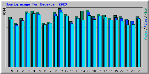 Hourly usage for December 2023