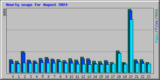 Hourly usage for August 2024